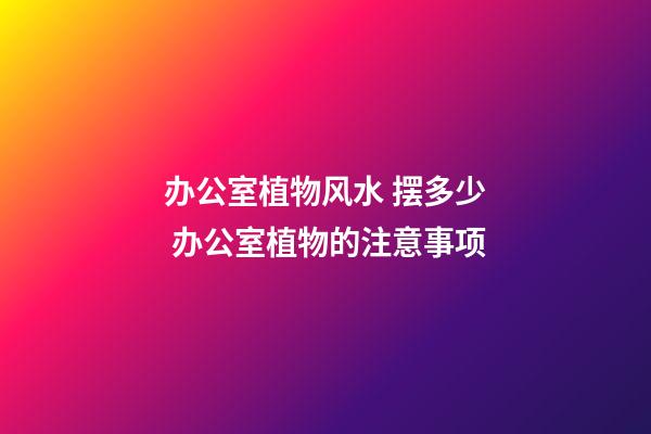 办公室植物风水 摆多少 办公室植物的注意事项